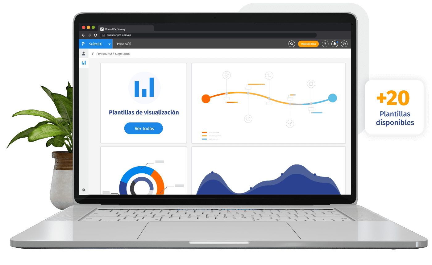 customer experience visualization - Grafico 1 SuiteCX