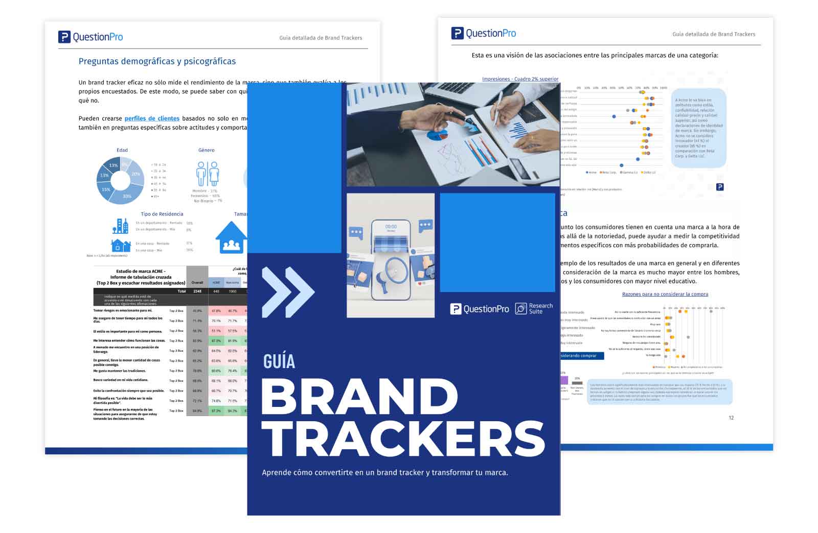 Guía Brand Trackers